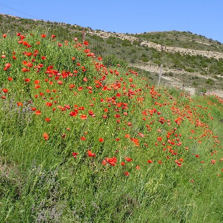 Hostal Venta Liara Allepuz Dış mekan fotoğraf